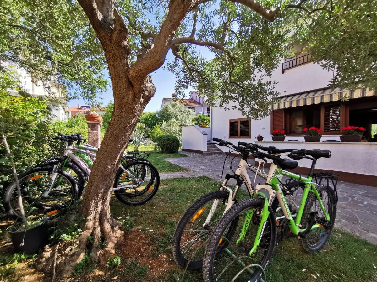Apartments Medusa Ρόβινι Εξωτερικό φωτογραφία