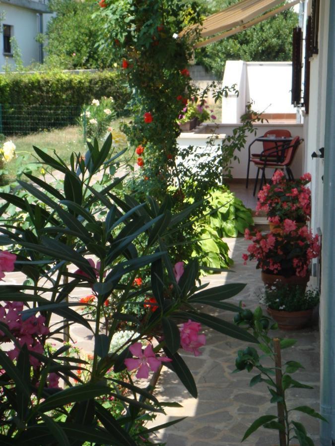 Apartments Medusa Ρόβινι Εξωτερικό φωτογραφία