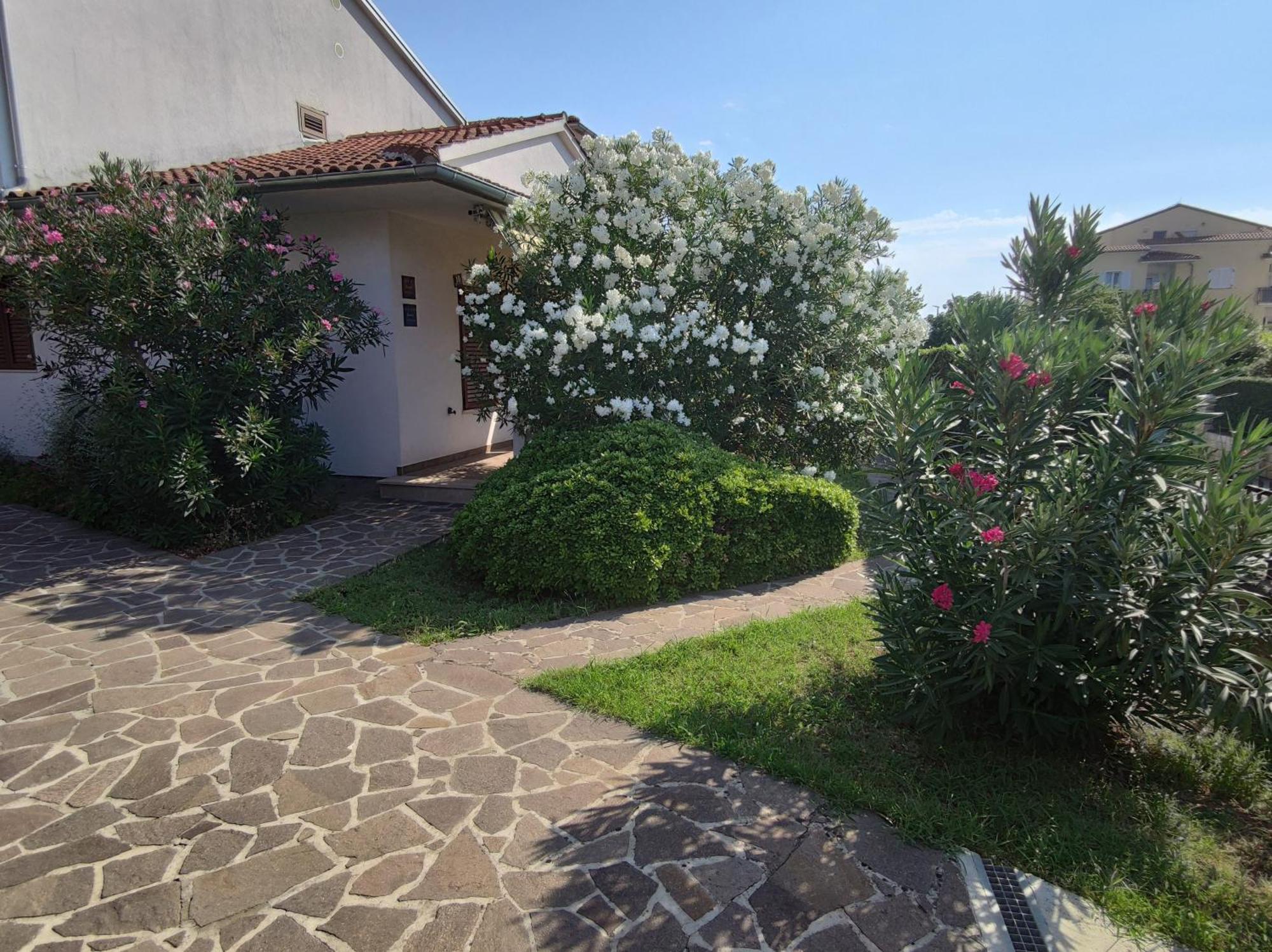 Apartments Medusa Ρόβινι Εξωτερικό φωτογραφία